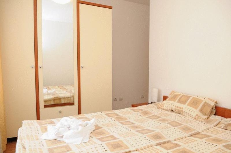 Northern Star Bansko Rom bilde