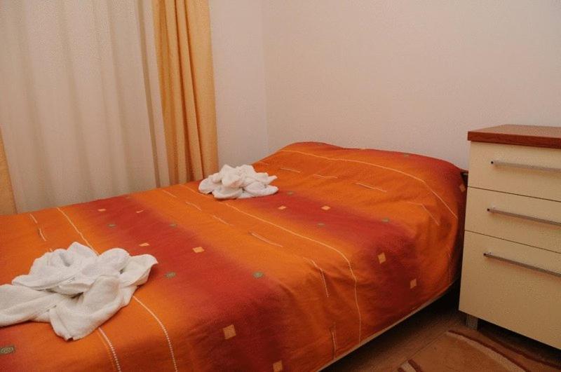 Northern Star Bansko Rom bilde
